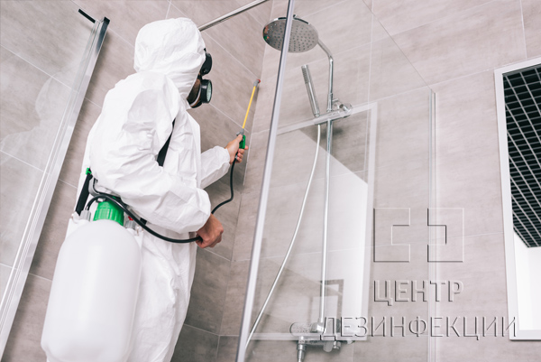 Санитарная обработка от тараканов в квартире  в Дмитрове
